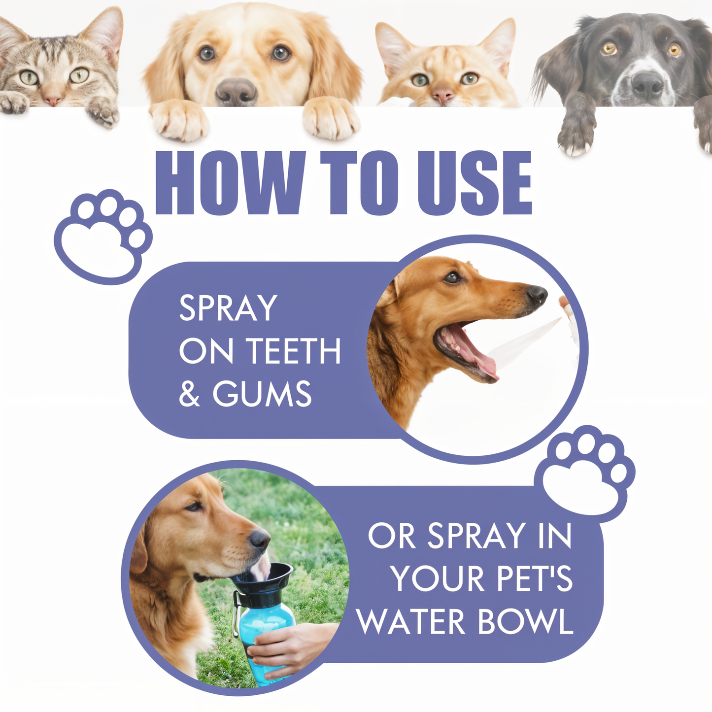 Forfriskende spray til dyrenes ånde