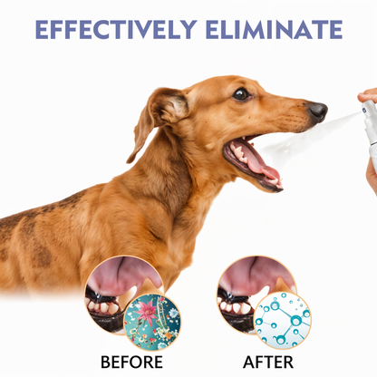 Forfriskende spray til dyrenes ånde